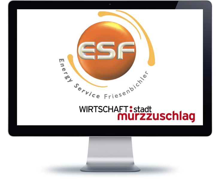 Energy Service Friesenbichler GmbH